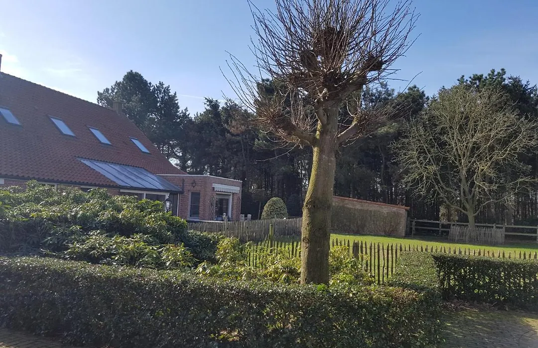 B&B Bergenhof-1